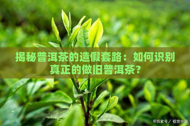 揭秘普洱茶的造假套路：如何识别真正的做旧普洱茶？