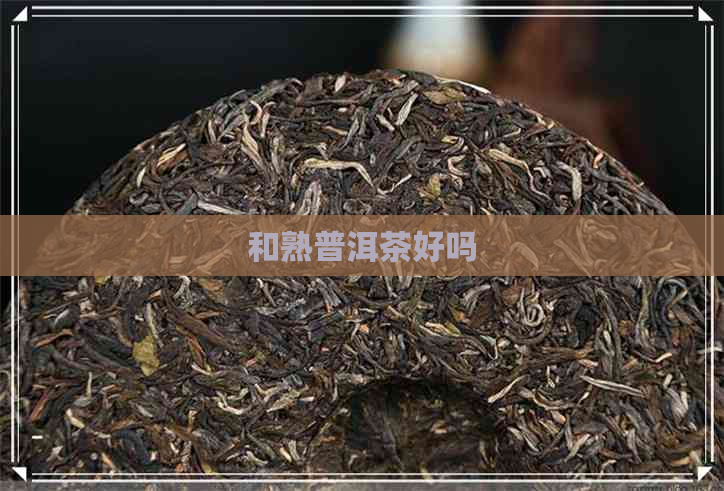 和熟普洱茶好吗