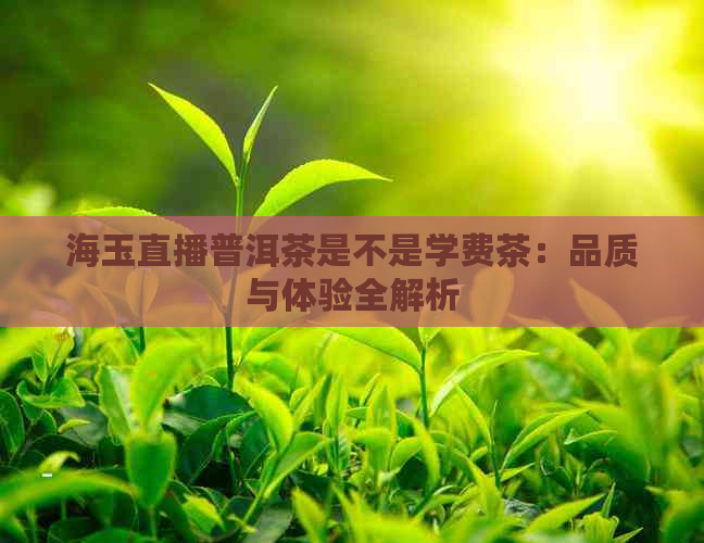 海玉直播普洱茶是不是学费茶：品质与体验全解析