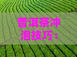 普洱茶冲泡技巧：从选茶到泡茶，全面指南教你如何品鉴和享受普洱茶的魅力