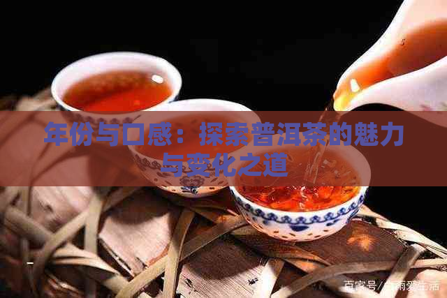 年份与口感：探索普洱茶的魅力与变化之道