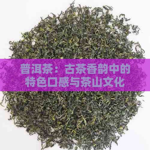 普洱茶：古茶香韵中的特色口感与茶山文化