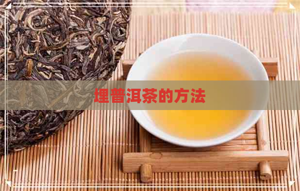 埋普洱茶的方法