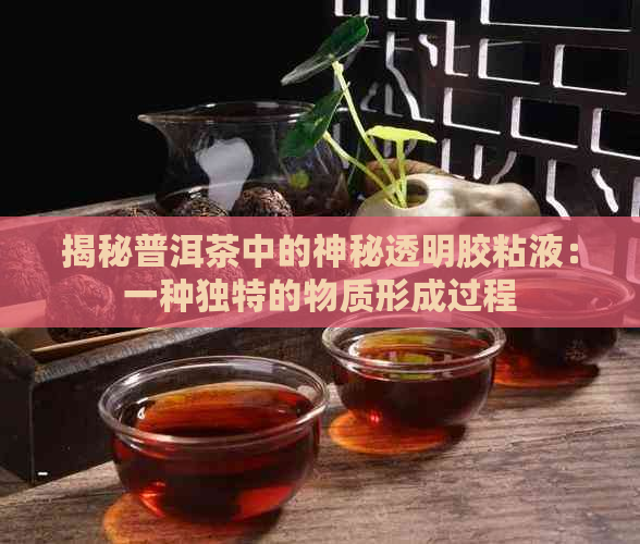 揭秘普洱茶中的神秘透明胶粘液：一种独特的物质形成过程