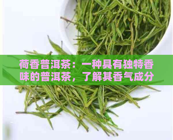 荷香普洱茶：一种具有独特香味的普洱茶，了解其香气成分及其口感特点