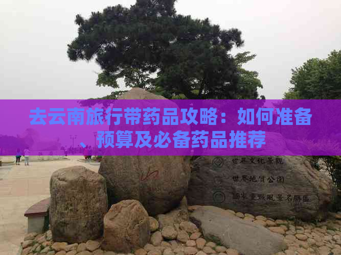 去云南旅行带药品攻略：如何准备、预算及必备药品推荐