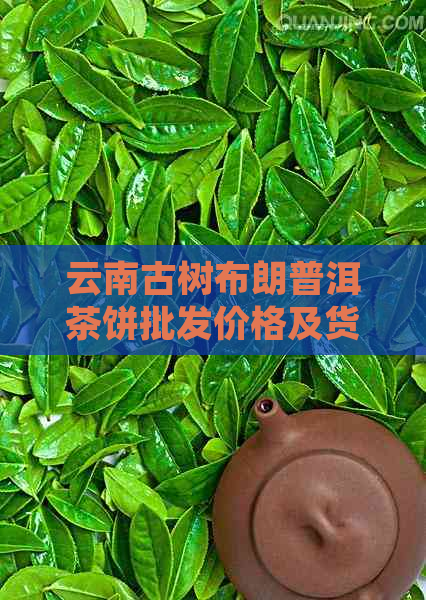 云南古树布朗普洱茶饼批发价格及货源分析：与现在市场趋势对比