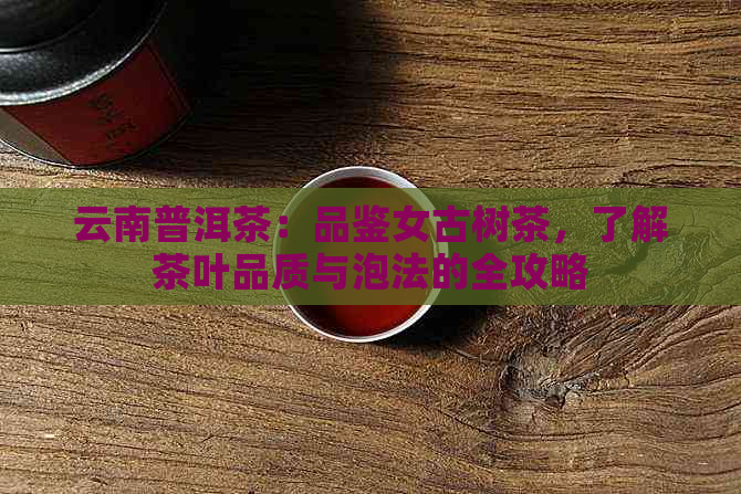 云南普洱茶：品鉴女古树茶，了解茶叶品质与泡法的全攻略