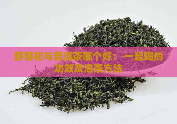 野菊花与普洱茶哪个好： 一起喝的功效及泡茶方法