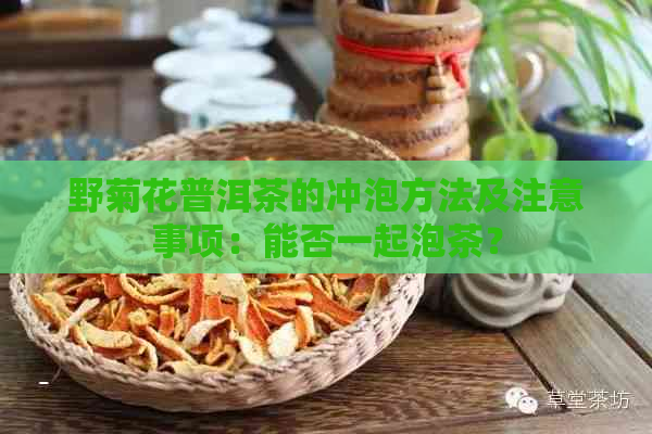 野菊花普洱茶的冲泡方法及注意事项：能否一起泡茶？