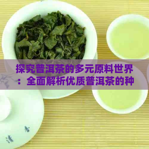 探究普洱茶的多元原料世界：全面解析优质普洱茶的种类与选择