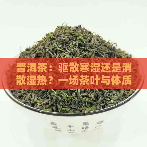 普洱茶：驱散寒湿还是消散湿热？一场茶叶与体质的对话