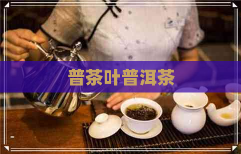 普茶叶普洱茶