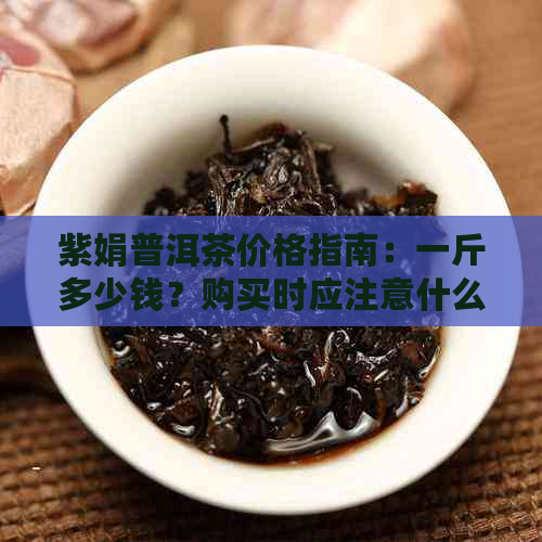 紫娟普洱茶价格指南：一斤多少钱？购买时应注意什么？