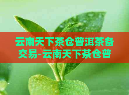 云南天下茶仓普洱茶备交易-云南天下茶仓普洱茶备交易怎么样