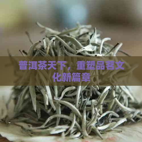 普洱茶天下，重塑品茗文化新篇章