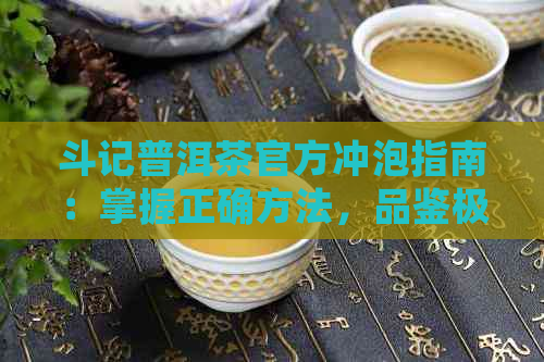 斗记普洱茶官方冲泡指南：掌握正确方法，品鉴极致口感