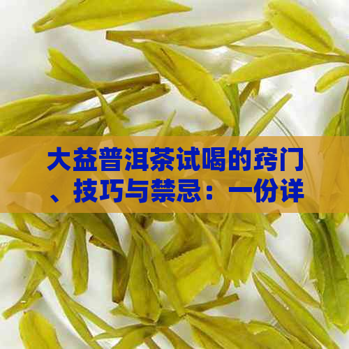 大益普洱茶试喝的窍门、技巧与禁忌：一份详细指南