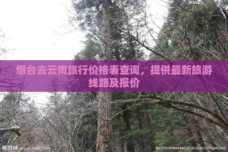 烟台去云南旅行价格表查询，提供最新旅游线路及报价