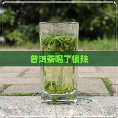 普洱茶喝了很辣