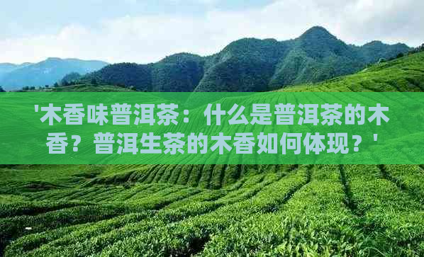 '木香味普洱茶：什么是普洱茶的木香？普洱生茶的木香如何体现？'