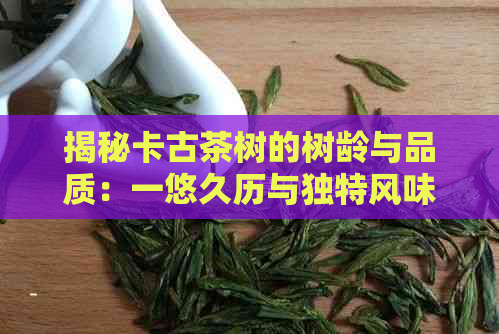 揭秘卡古茶树的树龄与品质：一悠久历与独特风味的故事