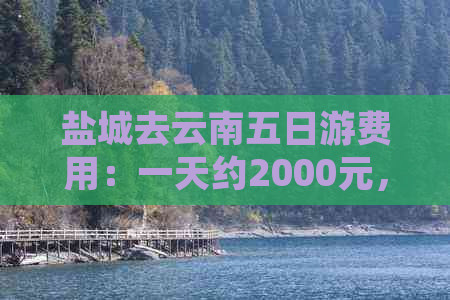 盐城去云南五日游费用：一天约2000元，五日总计10000元左右。