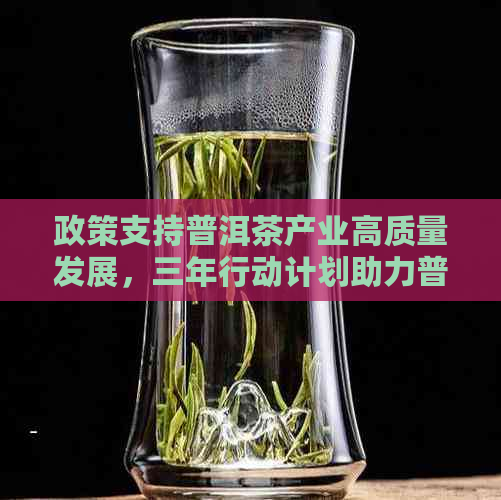 政策支持普洱茶产业高质量发展，三年行动计划助力普洱市茶叶市场