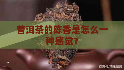 普洱茶的陈香是怎么一种感觉？