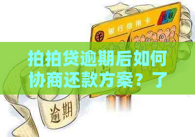 逾期后如何协商还款方案？了解对公账户操作流程以确保顺利还清债务