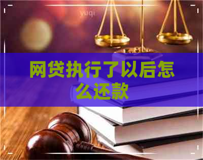 网贷执行了以后怎么还款