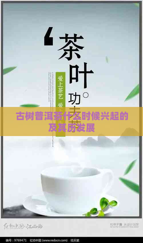 古树普洱茶什么时候兴起的及其历发展