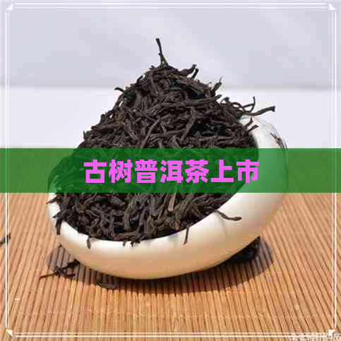 古树普洱茶上市