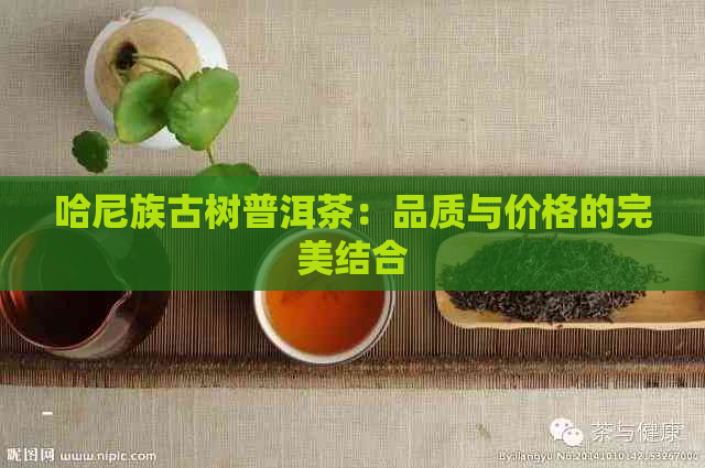 哈尼族古树普洱茶：品质与价格的完美结合