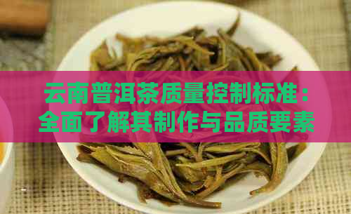 云南普洱茶质量控制标准：全面了解其制作与品质要素