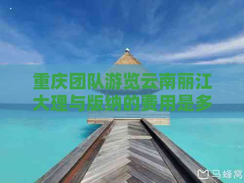 重庆团队游览云南丽江大理与版纳的费用是多少？