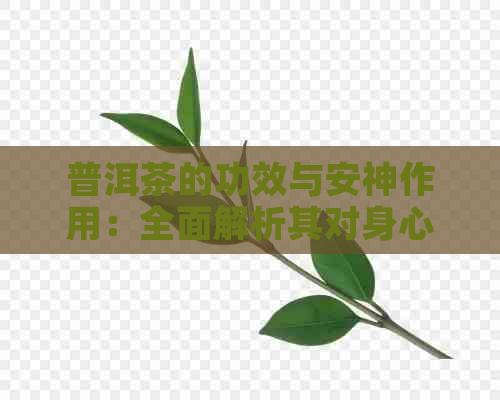 普洱茶的功效与安神作用：全面解析其对身心健的影响及适用人群