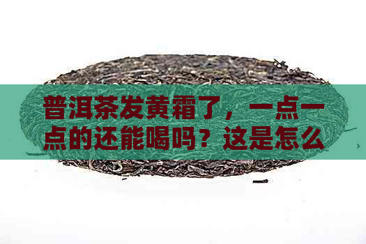 普洱茶发黄霜了，一点一点的还能喝吗？这是怎么回事？普洱茶发黄了怎么办？