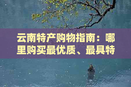 云南特产购物指南：哪里购买更优质、更具特色的云南特产？