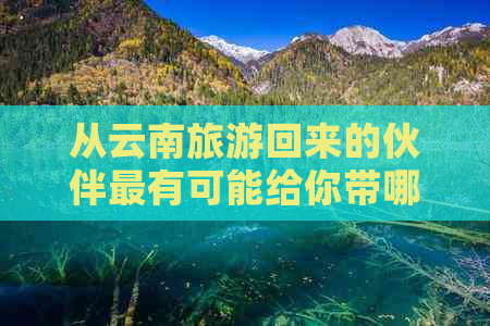 从云南旅游回来的伙伴最有可能给你带哪种特产 - 了解云南特色伴手礼