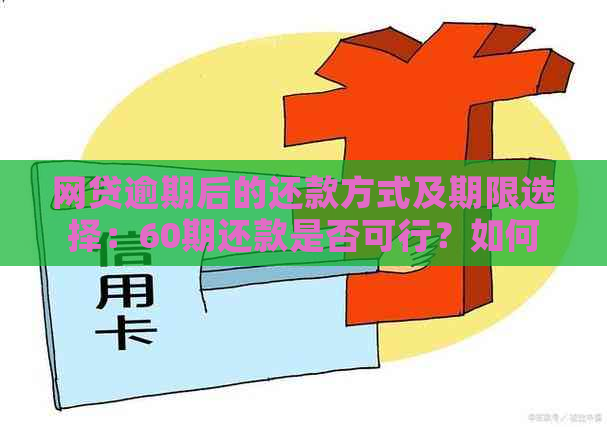 网贷逾期后的还款方式及期限选择：60期还款是否可行？如何操作？