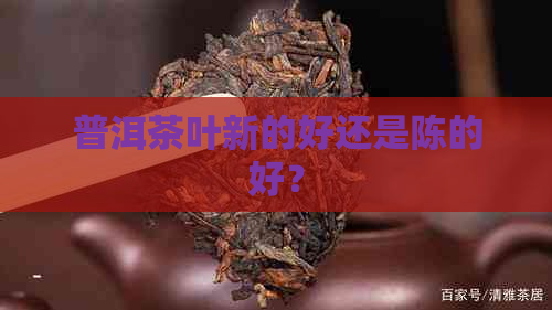 普洱茶叶新的好还是陈的好？