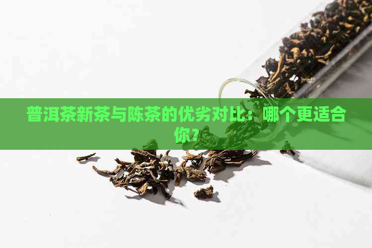 普洱茶新茶与陈茶的优劣对比：哪个更适合你？