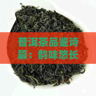 普洱茶品鉴诗篇：韵味悠长，千古传颂