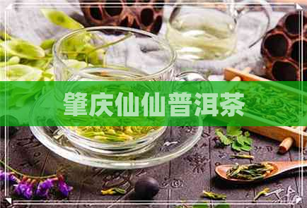 肇庆仙仙普洱茶