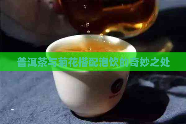 普洱茶与菊花搭配泡饮的奇妙之处