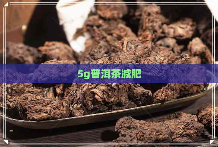 5g普洱茶减肥