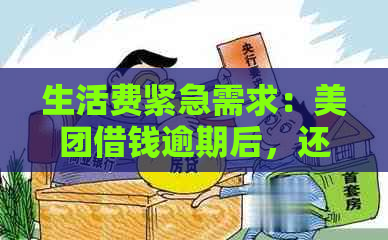 生活费紧急需求：美团借钱逾期后，还款时间与全额要求