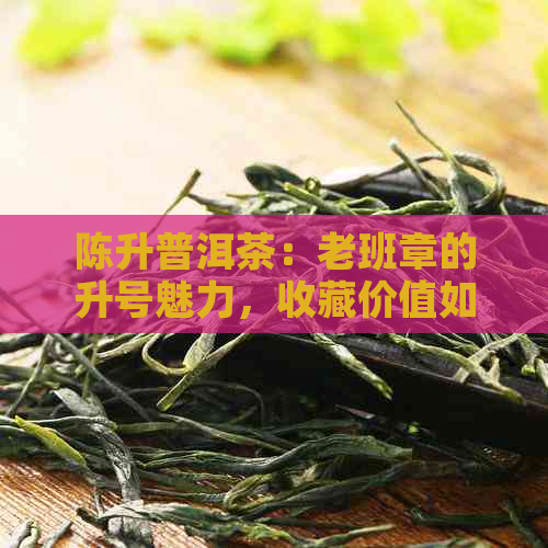 陈升普洱茶：老班章的升号魅力，收藏价值如何评估？