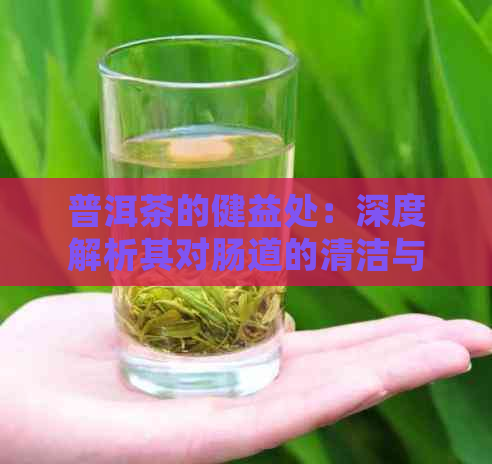 普洱茶的健益处：深度解析其对肠道的清洁与排作用